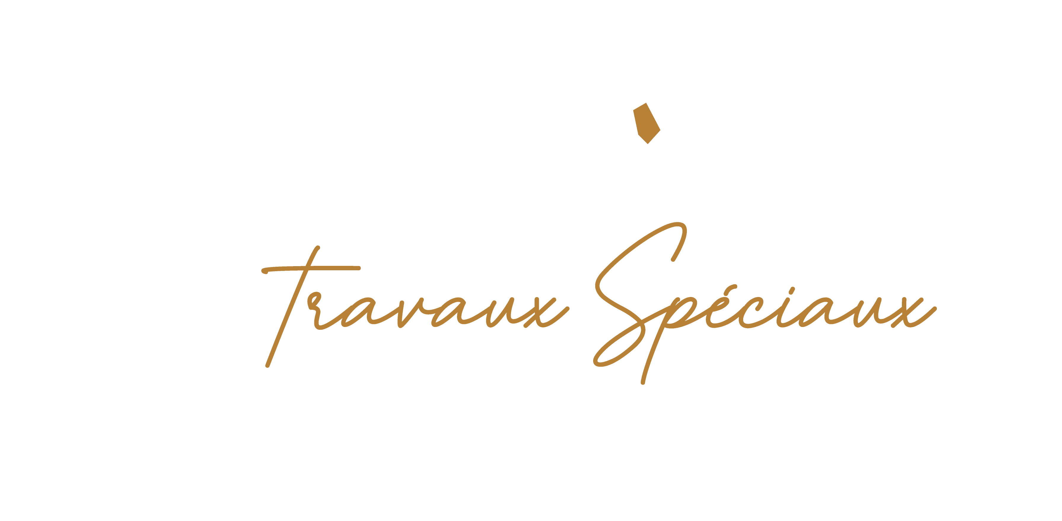 Logo Héxagône en mode sombre